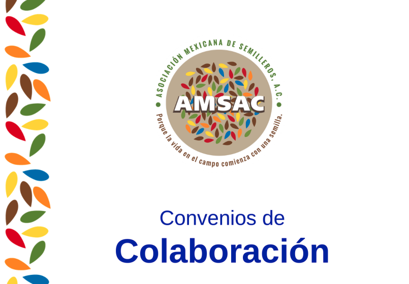 https://amsac.org.mx/wp-content/uploads/2026/10/Captura-de-pantalla-2026-10-19-a-las-2.44.14 p.m..png